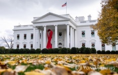 USA WHITE HOUSE AIDS RIBBON