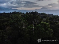 DR CONGO PHOTO ESSAY VIRUS DISEASES