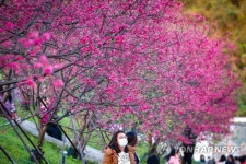 TAIWAN TOURISM NATURE