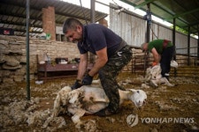 SPAIN SHEARING