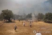 TURKEY WILDFIRES