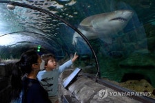 AUSTRALIA CORONAVIRUS COVID19 NSW REOPENING