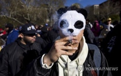 USA NEW YORK 4/20 DAY MARIJUANA