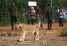 SUDAN PHOTO SET ANIMAL RESCUE CENTER