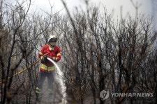 PORTUGAL FOREST FIRES