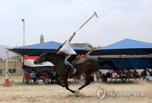 YEMEN EQUESTRIAN