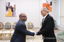 EGYPT D-8 SUMMIT