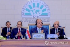 EGYPT D-8 SUMMIT