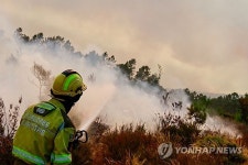 PORTUGAL WILDFIRE