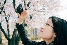 DSLR 안 부러워…봄맞이 출사, 스마트폰 OK