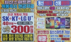 징역 10월…불법 보조금 페이백 사기 '경종'