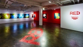 카메라 제조사, 체험 마케팅 강화 써봐야 안다