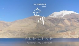 “순례, 효리네민박, 비밀의숲…무료 VOD로 보세요”