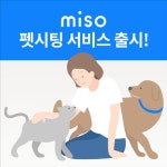 청소 스타트업 '미소', 반려동물 산책·돌봄 서비스 개시