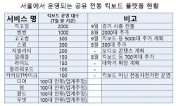 전동킥보드 춘추전국시대...8월에만 서울에 3천대 추가 투입