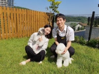보는 것만으로 힐링되는 펫미용 유튜버 &apos;슈앤트리&apos;
