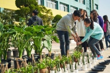 마켓컬리, 공기 정화 식물로 첫 교실 숲 조성