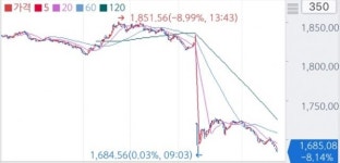 코스피 8%대 폭락...서킷브레이커 발동