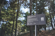 마켓컬리, 상암 문화비축기지에 나무 1400그루 심는다