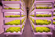 K스마트팜, 중동 농업 허브 ‘요르단 간다