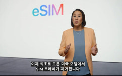 애플 미국판 아이폰14에서 e심만 지원