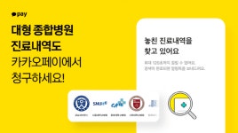 카카오페이 ‘실손보험 간편 청구’ 서비스 개시
