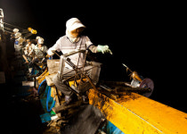 수협은행, 오징어잡이 부진 어부에 최대 3천만원 긴급대출