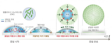 햇빛만 쬐면 성에 안 끼는 나노 필름 개발