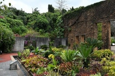 [리뷰] 휴대성·성능 균형 찾은 가벼운 미러리스 카메라 니콘 Z50 Ⅱ