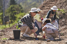 한화, 12번째 ‘태양의 숲’ 조성…산불피해지에 식수