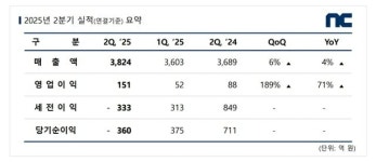 엔씨소프트, 2분기 영업익 껑충...아이온2 흥행 자신감, 내년 신작 7종 출시