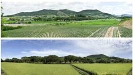 국가유산청, 고창 하고리 삼태마을숲 국가지정자연유산 천연기념물 지정