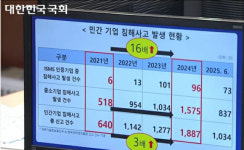 배 부총리 