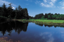 Golf |명 코스 순례-포틀랜드 펌킨리지 GC