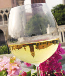 Wine Story |이제는 향기에 취하고싶다