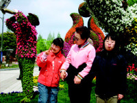 [Premium Investment] 상속이야기-장애 자녀 유산 어떻게 할까