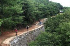 [남한땅 7정맥 ③호서정맥ㅣ구간종주 르포] 비밀의 문을 지나 아홉 딸이 죽은 산으로