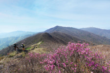 [창간46주년 活人山 소백을 가다 | 종주 르포] 현대인의 각박한 삶을 위로하는 푸근한 산줄기