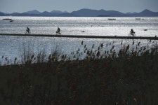 [시즌특집ㅣ春風 부는 ‘육지가 된 섬들’ㅣ<2> 안좌도(박지도, 반월도) 자전거 투어] 작은 섬의 한적함을 온 몸으로 만끽하라!