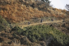 [시즌특집ㅣ春風 부는 ‘육지가 된 섬들’ㅣ<2> 안좌도(박지도, 반월도) 자전거 투어] 작은 섬의 한적함을 온 몸으로 만끽하라!