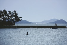 [시즌특집ㅣ春風 부는 ‘육지가 된 섬들’ㅣ<2> 안좌도(박지도, 반월도) 자전거 투어] 작은 섬의 한적함을 온 몸으로 만끽하라!