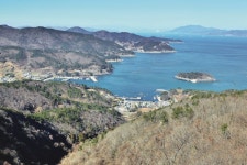 [시즌특집Ⅰ春風 부는 ‘육지가 된 섬들’ㅣ<3> ⑦여수 돌산도 금오산 가이드] 봄이면 동백꽃 화원으로 변신하는 곳