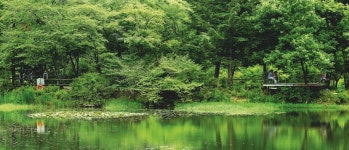 [식목의 달 특집 Ⅱ ‘숲 속의 산’ㅣ<1> 화보] 신록이 물드는 봄, 그 숲에 가고 싶다!