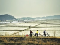 [신안 특집ㅣ증도] 슬로시티 증도에 숨겨진 보물을 찾아라!