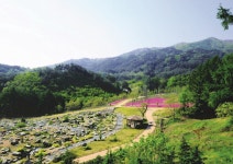 [개원 1주년 국립백두대간수목원 특집ㅣ 개원 1주년 변화] 올 방문객 30만 명 예상… 식물 보유종도 늘어 