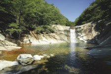 [밀양 특집ㅣ사자평과 얼음골] 은빛 물결 가득한 사자평 억새밭이 돌아왔다!