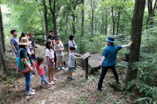 [한국의 캠핑명당을 찾아서ㅣ<7>회문산자연휴양림 캠핑장] 편안한 여름 위한 최상의 조건 갖춘 곳