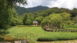[감동산행기] 산소 배불리 먹는 수타사 산소길