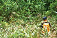 [제주도 오름 & 곶자왈 특집 | 코스가이드<3> 용눈이오름 & 손지오름] 고운 능선 위 은빛 억새밭에 파묻히자!