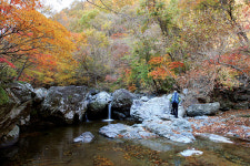 [주말산행 경상도의 숨은 명산ㅣ 재약산] 능선으로 알려진 영남알프스의 숨겨진 계곡미!